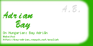 adrian bay business card