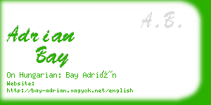 adrian bay business card